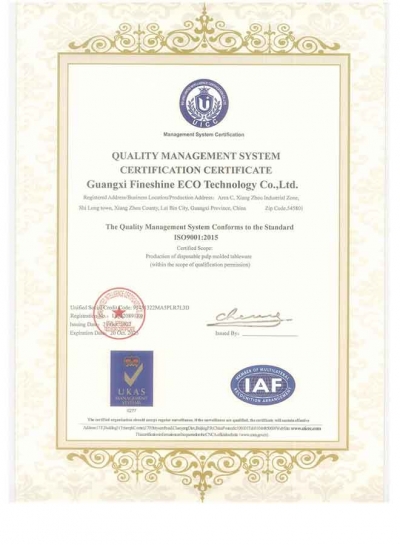 ISO 9001