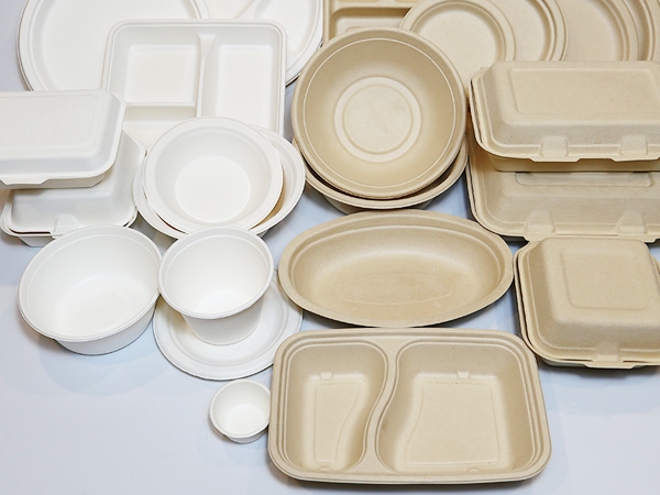 What is bagasse tableware？